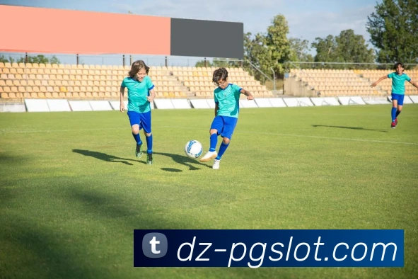 PG电子官网平台生态图